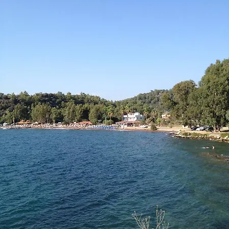 Gelincik * Orhaniye (Marmaris)